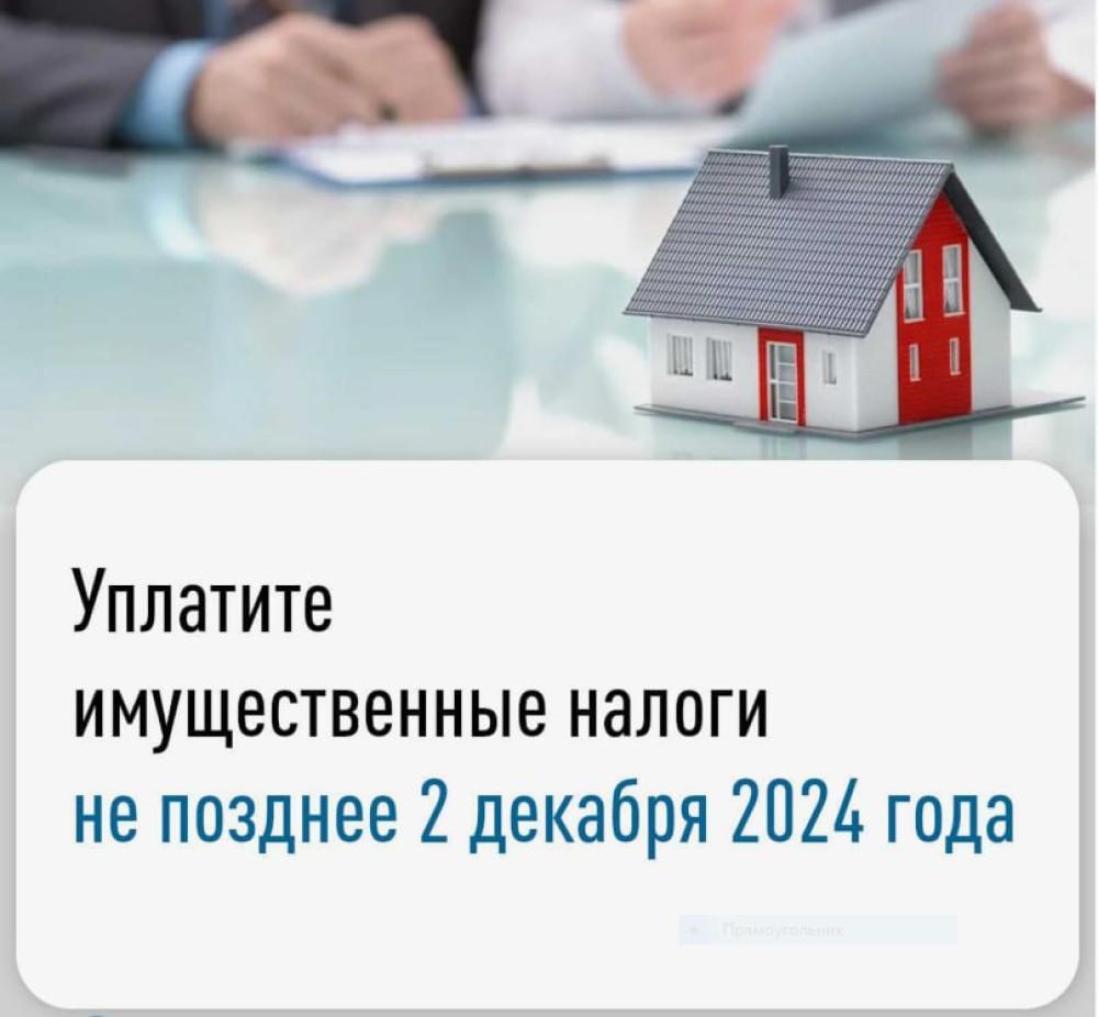 Уплата имущественных налогов.